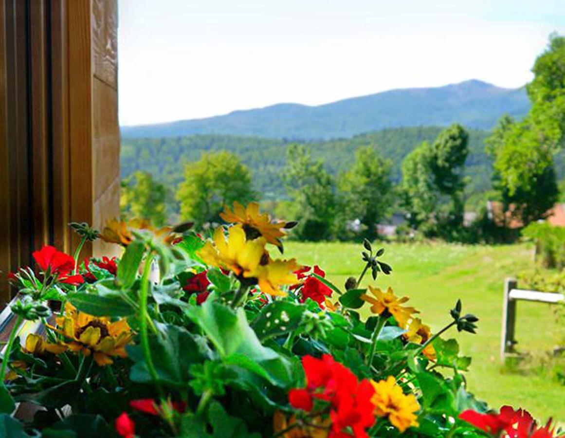 Pension Draxlerhof Нойшенау Екстер'єр фото
