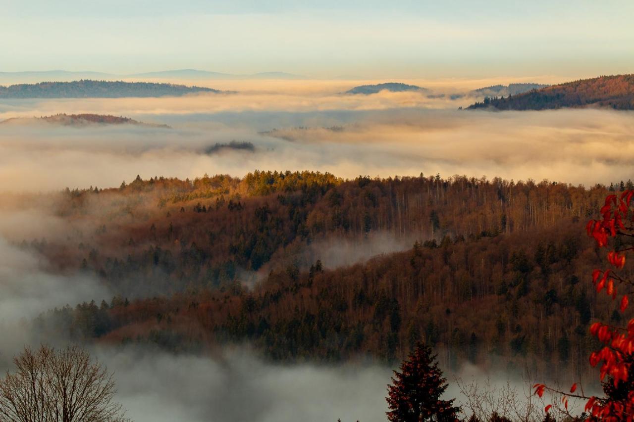 Pension Draxlerhof Нойшенау Екстер'єр фото