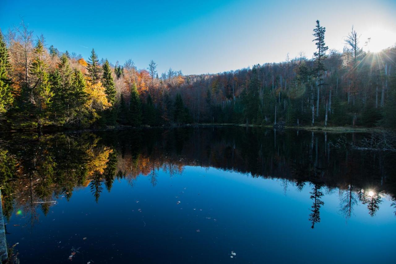 Pension Draxlerhof Нойшенау Екстер'єр фото